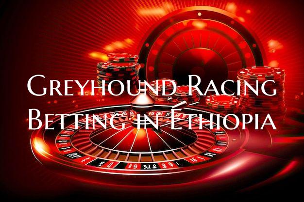 Greyhound Racing Betting in ...